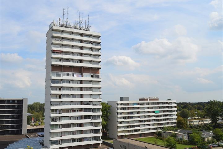 Bekijk foto 3 van Houtweg 269