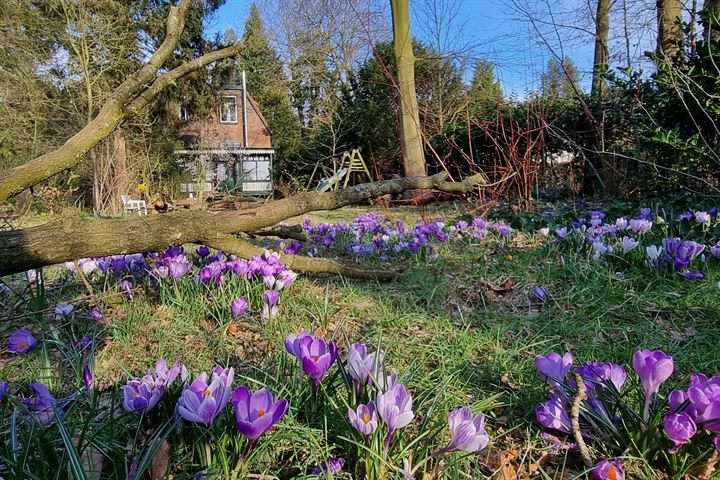 Bekijk foto 4 van Overaseweg 18