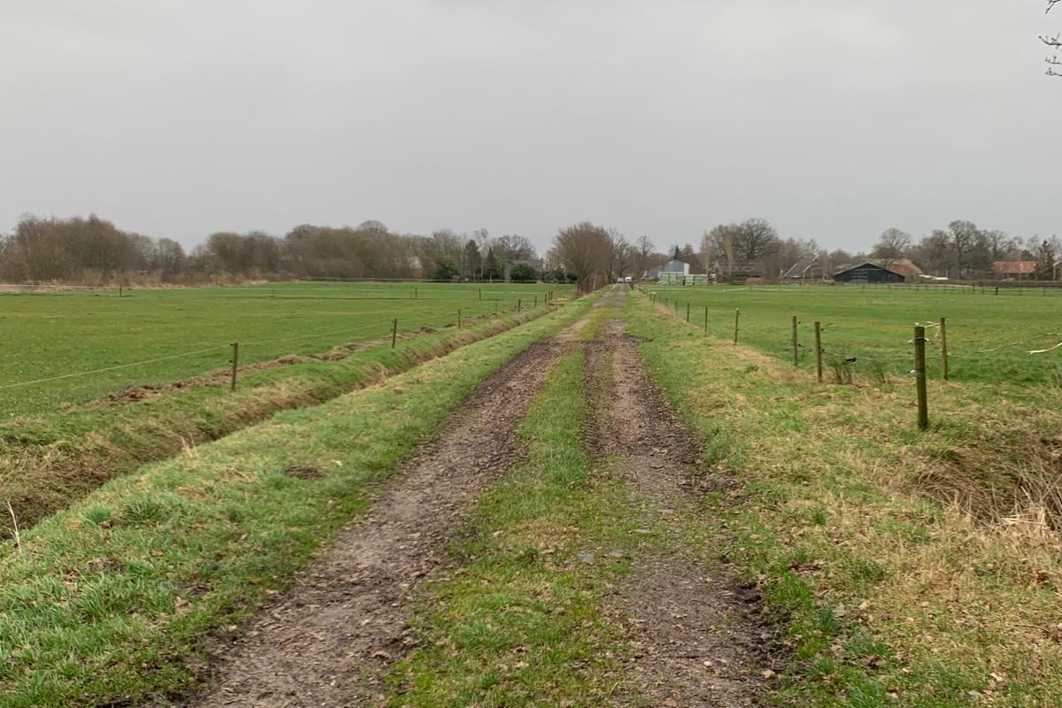 Bekijk foto 4 van Hoofdstraat