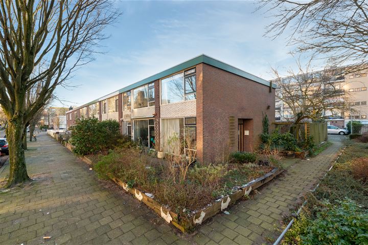 Bekijk foto 4 van Livingstonelaan 225