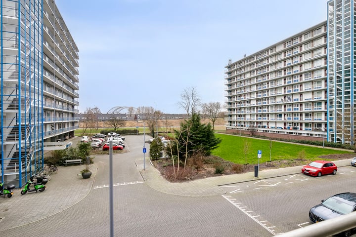 Bekijk foto 36 van Bichon van IJsselmondelaan 26