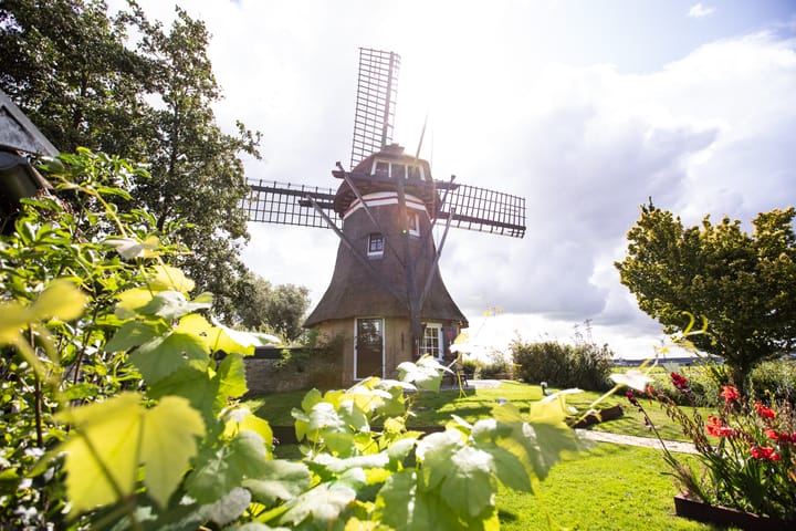 Foto 2 van Alddiel 4-A