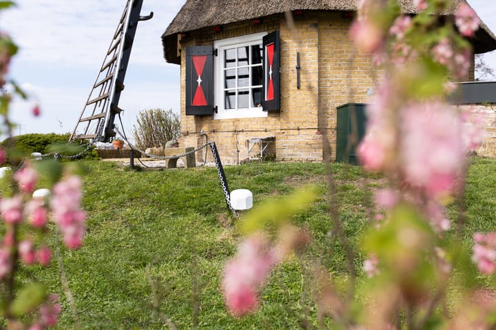 Foto 9 van Alddiel 4-A