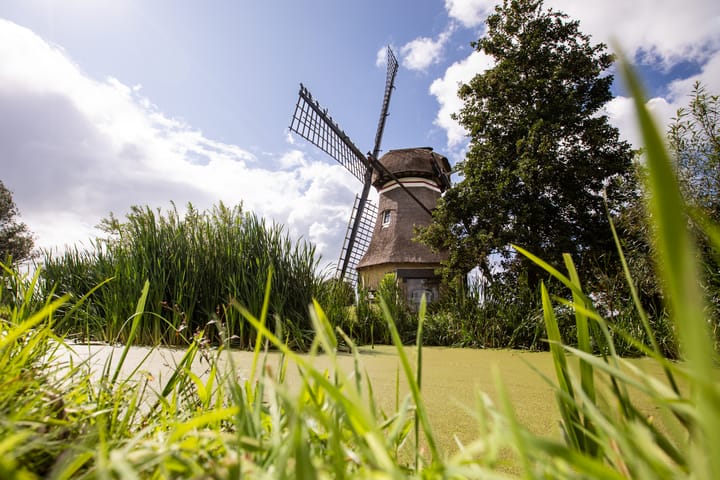 Foto 34 van Alddiel 4-A