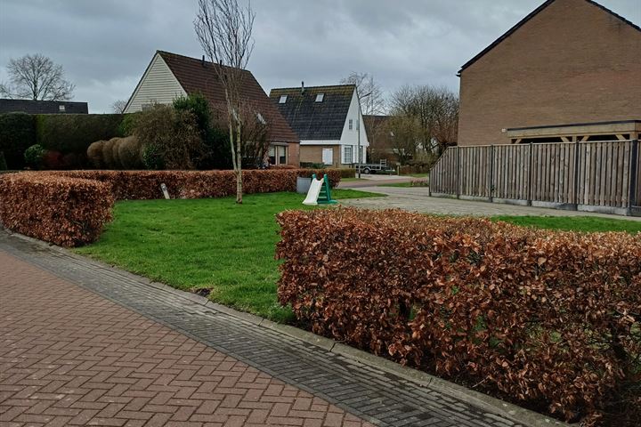 Bekijk foto 10 van Oude Dijk 21