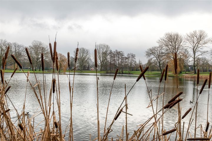 Bekijk foto 19 van Dubbelhof 116