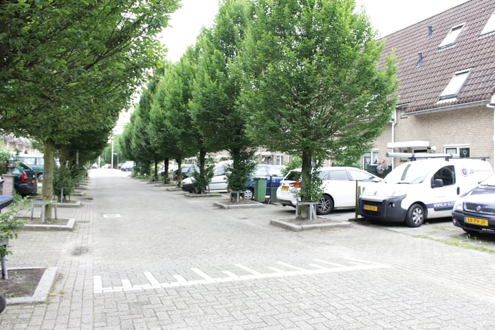 Hofnar 24