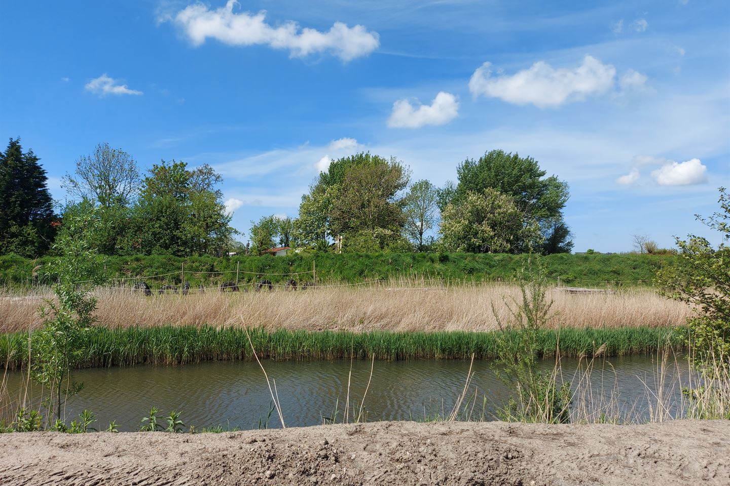 Bekijk foto 2 van Seggeweg 38