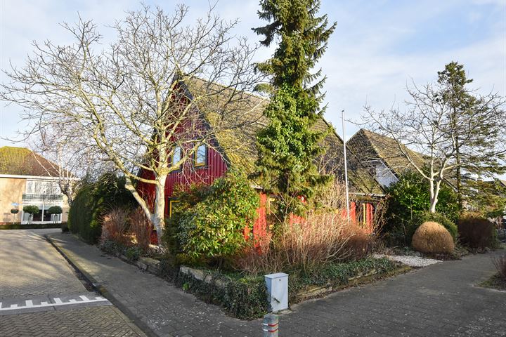 Bekijk foto 2 van Galjoen 20 15