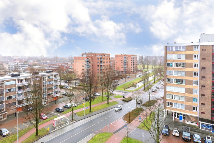 Bekijk foto 3 van Uiverhof 40