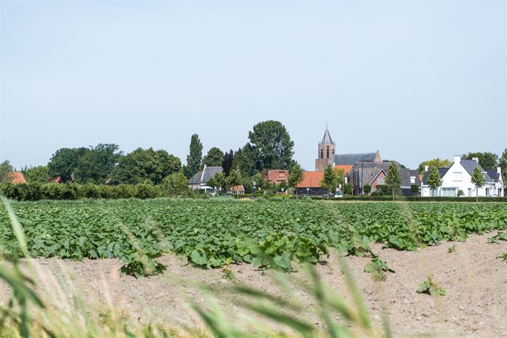 Bekijk foto 12 van Bouwnummer 2 (Gaaswijck)