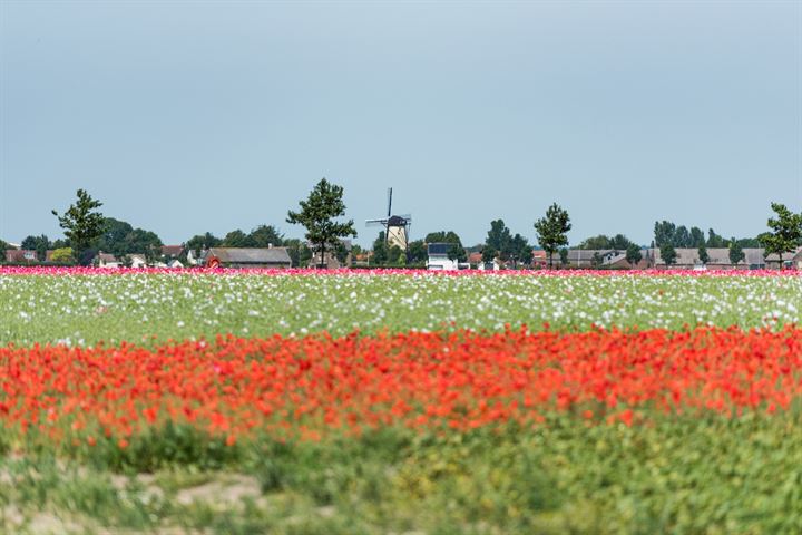 Bekijk foto 15 van Bouwnummer 1 (Gaaswijck)