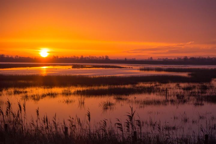 Bekijk foto 18 van Bouwnummer 2 (Gaaswijck)