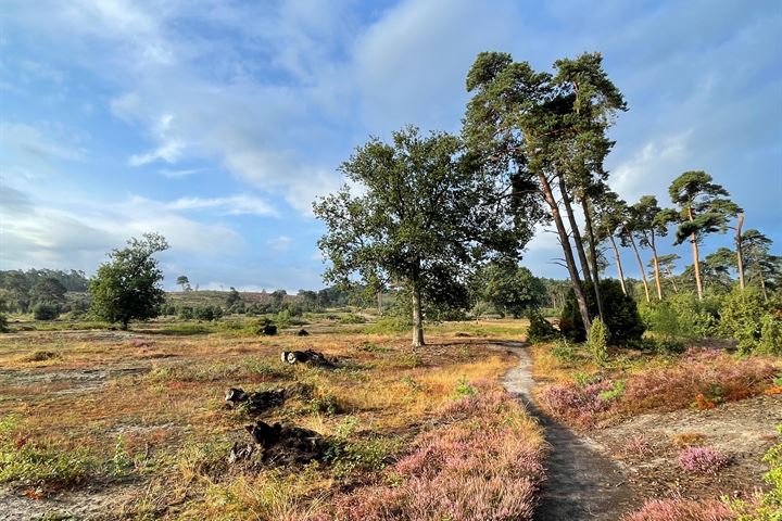 Bekijk foto 94 van Migaweg 7-A & 7AI