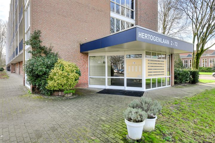 Bekijk foto 40 van Hertogenlaan 24