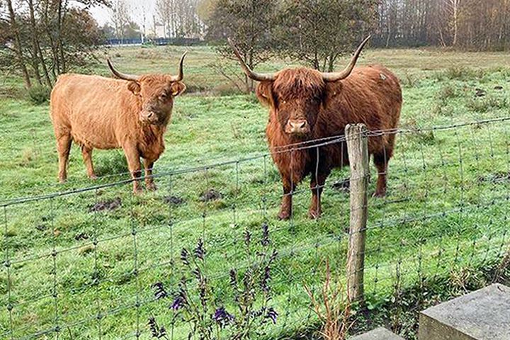 Bekijk foto 25 van Bijsterveldenlaan 425