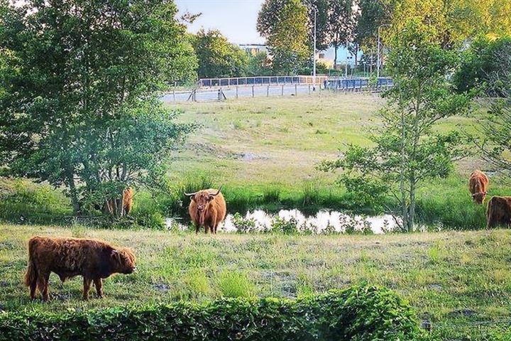 Bekijk foto 45 van Bijsterveldenlaan 425