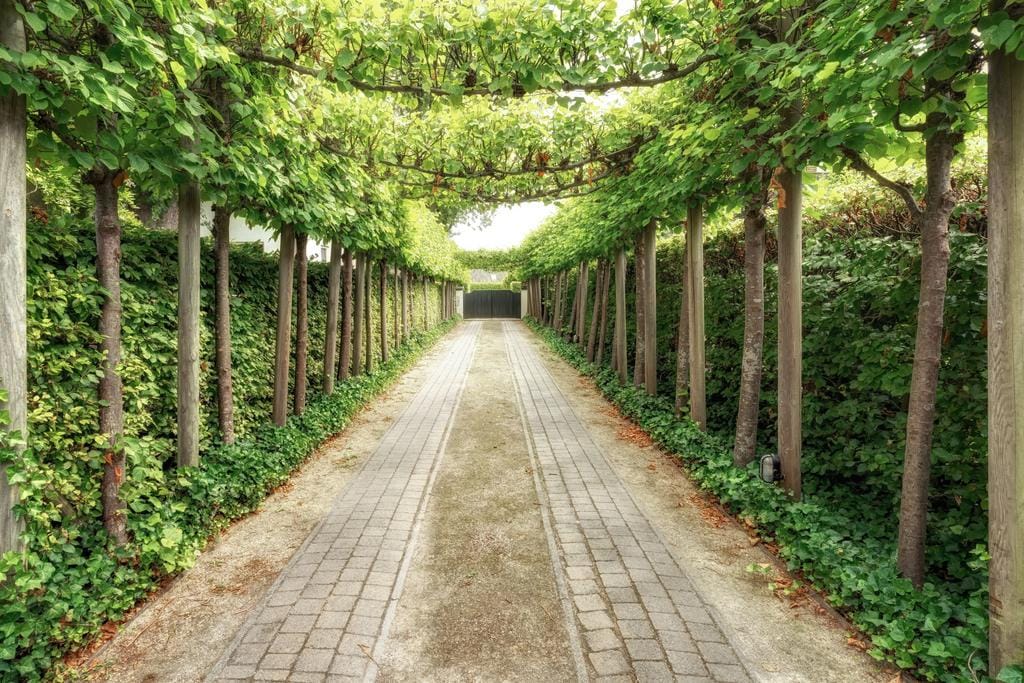 Foto 83 van Zuideinde 36