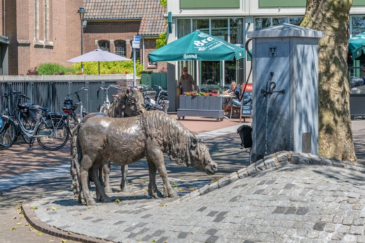 Bekijk foto 18 van De Pollenbrink 52