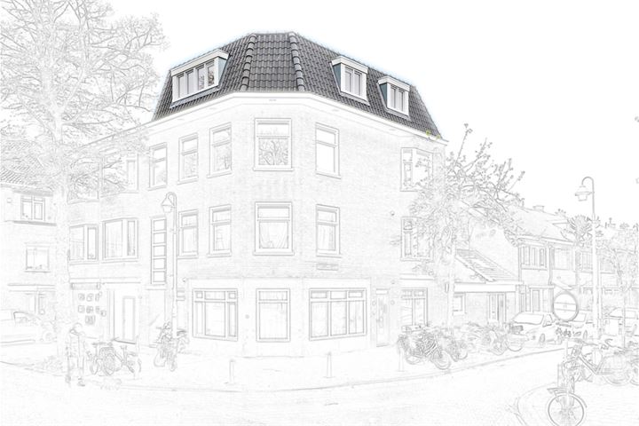 View photo 3 of Linnaeusstraat 297-A