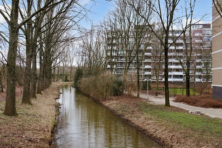 Bekijk foto 27 van Tobias Asserlaan 407