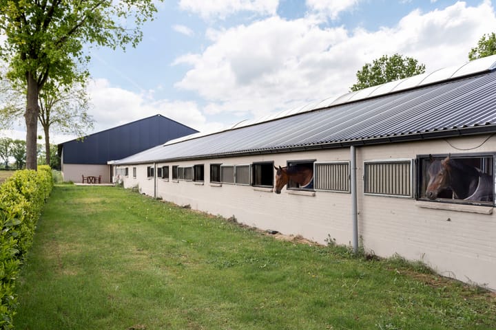 Foto 4 van Kampsteeg 45