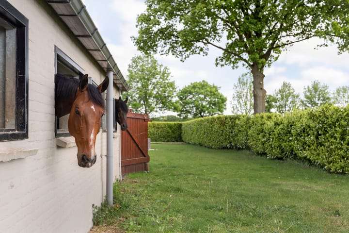 Foto 5 van Kampsteeg 45