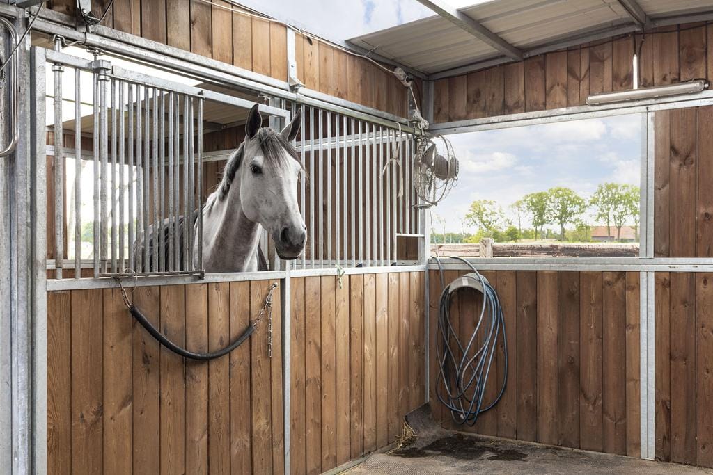 Photo 40 of Kampsteeg 45