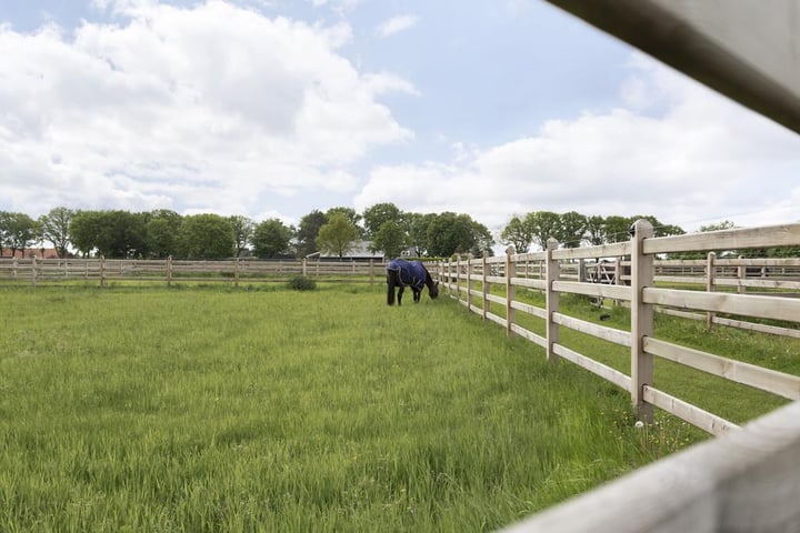 Bekijk foto 48 van Kampsteeg 45