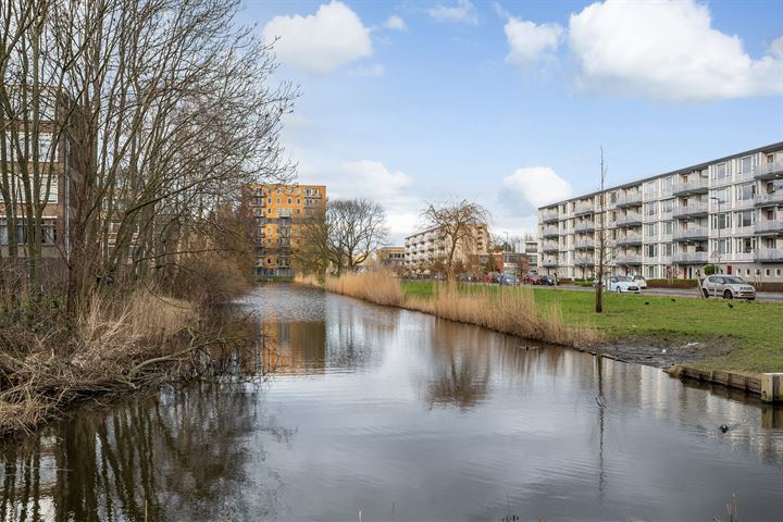 Bekijk foto 4 van Datheenstraat 293