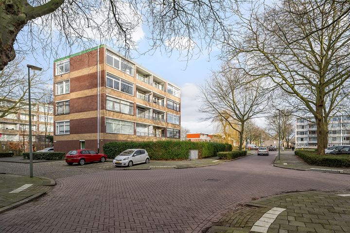 Bekijk foto 29 van Datheenstraat 293