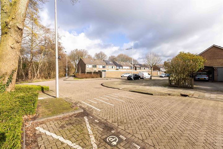 Bekijk foto 35 van Duindoornstraat 44