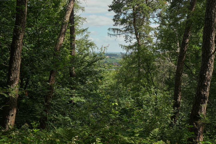 Bekijk foto 39 van Stollenbergweg 148