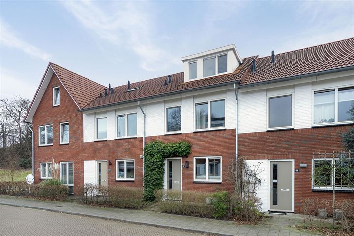 Bekijk foto 41 van Kaaplandstraat 63