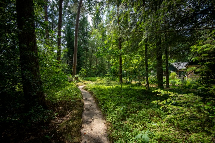 Bekijk foto 42 van Heideroosweg 6