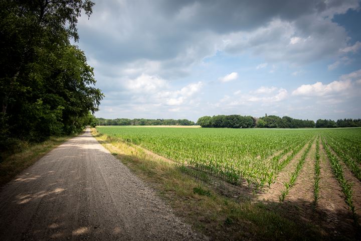 Bekijk foto 49 van Heideroosweg 6