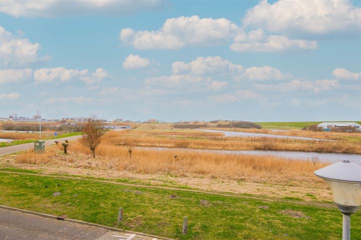 Bekijk foto 17 van Coenraad Botstraat 51