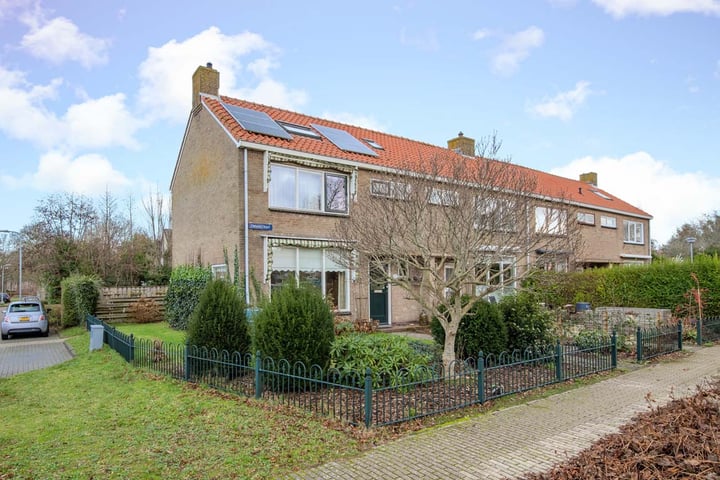 Bekijk foto 1 van Zwaanstraat 16