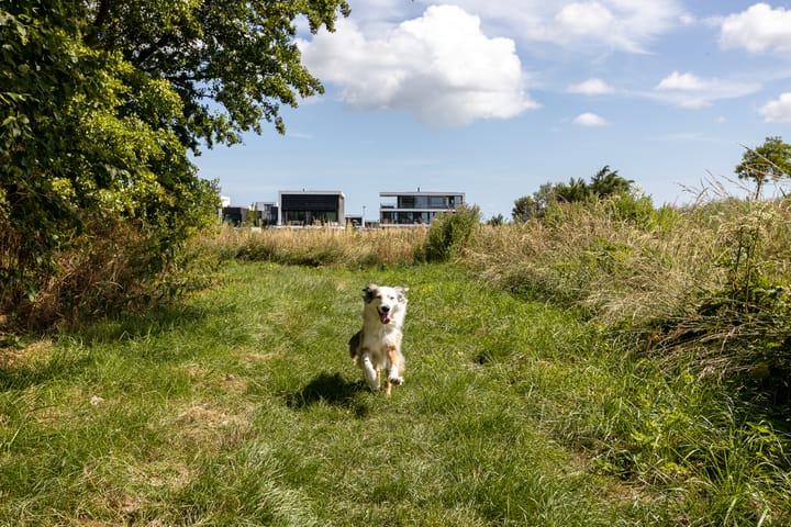 Foto 8 van Bouwnummer (Bouwnr. 15)