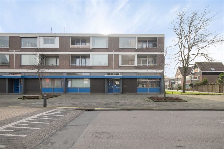 Bekijk foto 7 van Laan van Nieuw Blankenburg 322