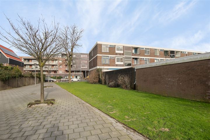 Bekijk foto 16 van Laan van Nieuw Blankenburg 322