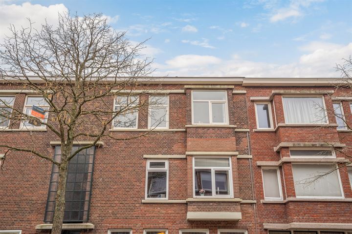 Bekijk foto 33 van Stuyvesantstraat 205