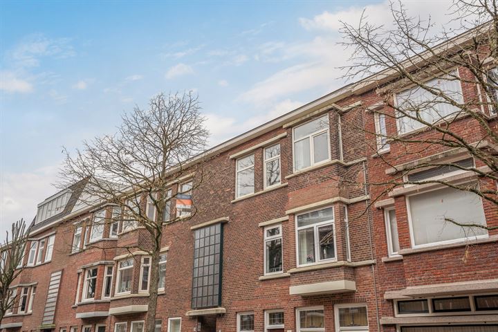 Bekijk foto 35 van Stuyvesantstraat 205