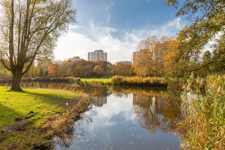 Bekijk foto 29 van Orteliuskade 52-2