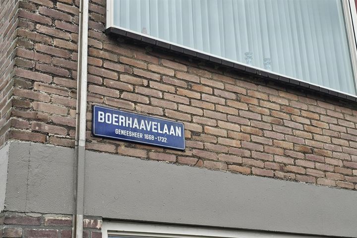 Bekijk foto 2 van Boerhaavelaan 73