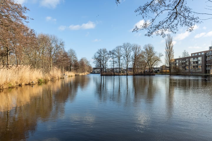 Bekijk foto 52 van Wilgenhoek 125