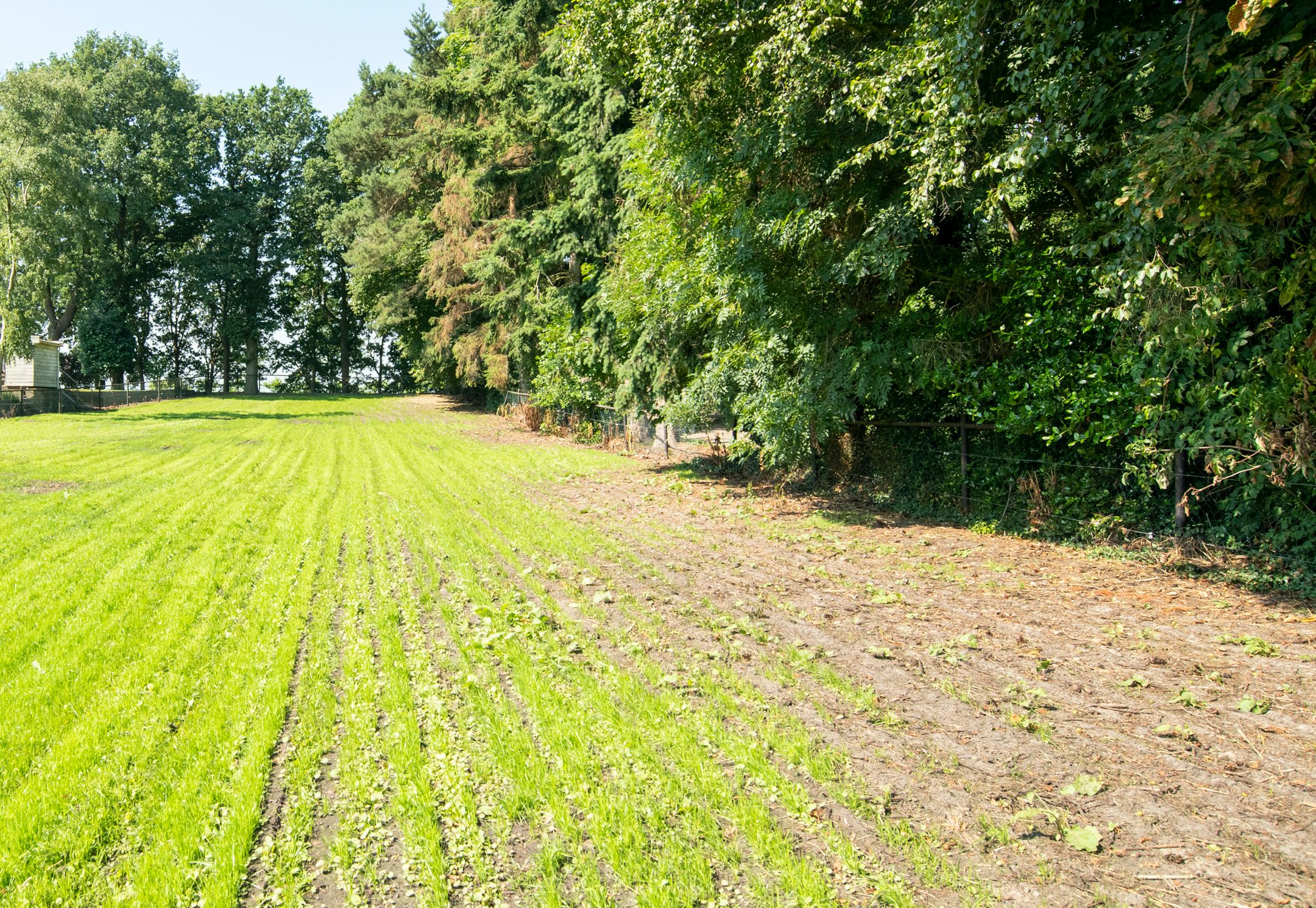 Bladderswijk 143 - Bouwkavel, Nieuw-Dordrecht, 7885TK, Drenthe, Nederland