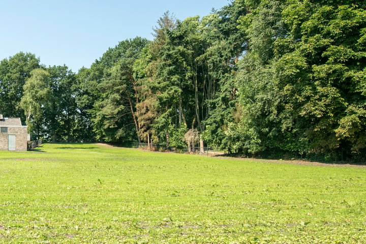 Bekijk foto 3 van Bladderswijk 143 - Bouwkavel