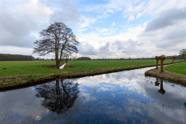 Bekijk foto 40 van Wyldsang 29