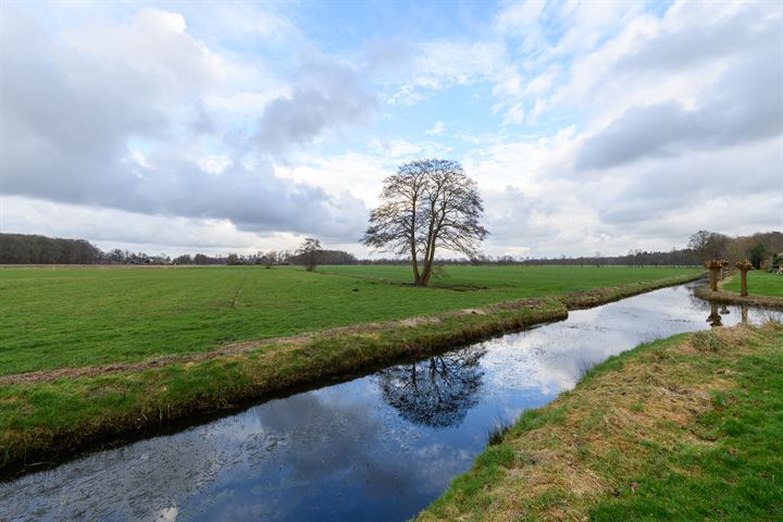 Bekijk foto 41 van Wyldsang 29